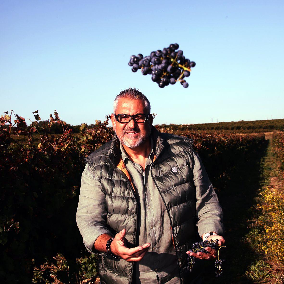 Nos vendanges Château Pépusque - Vins du Minervois