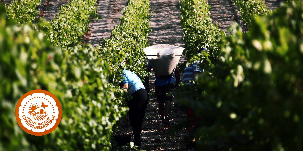 Le Château Pépusque obtient la certification “Haute Valeur Environnementale” !